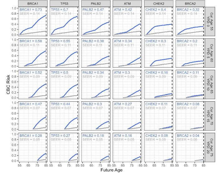 Figure 5. CBC risk estimates for a patient diagnosed at age 55. Age 55 was chosen as illustration based on the median age of patients enrolled to the American College of Surgeons Oncology Group Z0011 study, a large, representative clinical trial.