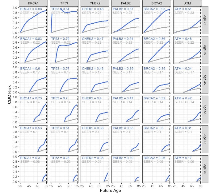 Figure 4. CBC carrier risk estimates for newly diagnosed breast cancer patients from ages 25 to 75 in increments of 10 years of age and is stratified by P/LP gene. In each panel, CBC risks for assumed non-carriers from SEER are also plotted as a reference. The numbers in the top left of each panel are the lifetime risks (up to age 85) for both the gene carriers and the general population from SEER. The rows represent the patient age from youngest on the top to oldest on the bottom.