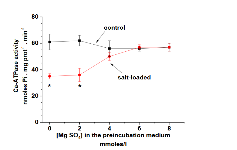 Figure 4. Effect of MgSO4 in the preincubation medium on the Ca-ATPase activity of placenta homogenates from control and salt-loaded pregnant rats.