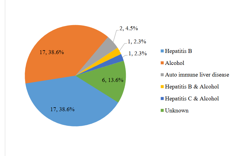 Figure 1: Liver cirrhosis etiology of the participants