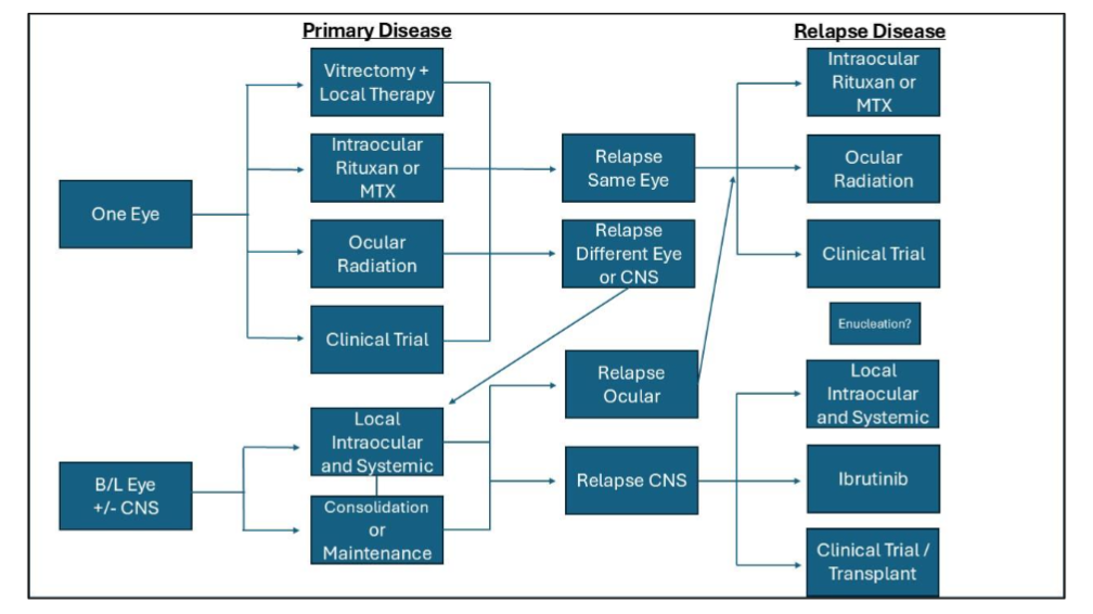 Figure 1: Primary Vitreoretinal Lymphoma Treatment Algorithm