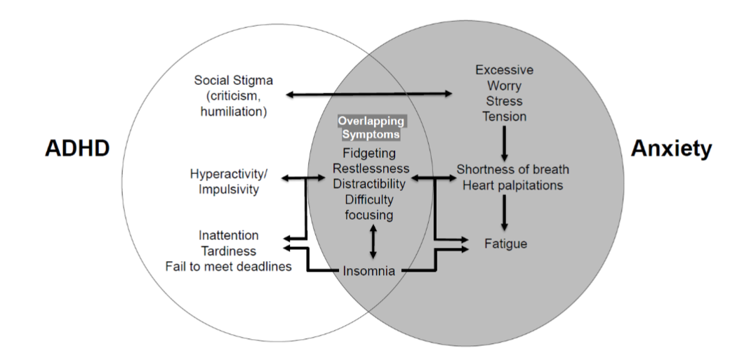 Figure 1. Interconnected relationship between ADHD and anxiety symptoms.