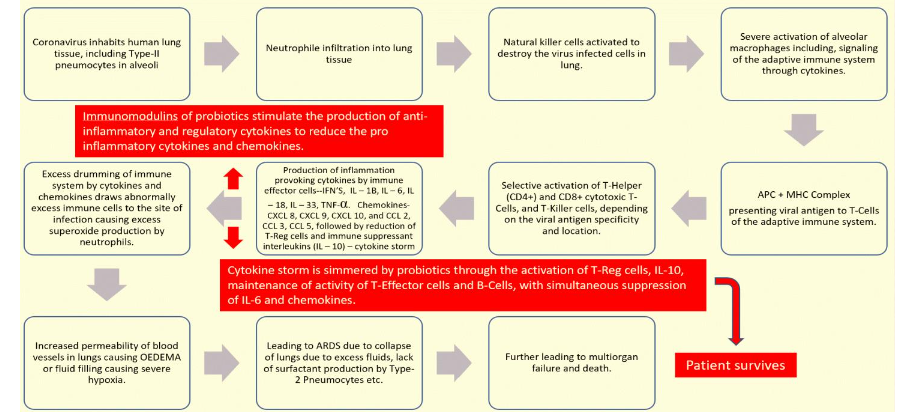 FIGURE 9: Pictorial presentation showing immunomodulins of probiotics acting as checkpoint inhibitors to block CTLA-4 and PD-1 immune checkpoints on T-Cells from interacting with B7-1 / B7-2, and PD-L1 Ligands, thus activating T-Cells to inhibit the SAR-CoV-2 Virus.