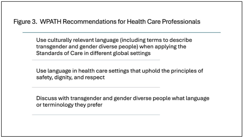 The World Professional Association for Transgender Health Standards of Care-08 Statements of Recommendations for care are purposefully broad and inclusive. WPATH = World Professional Association for Transgender Health.