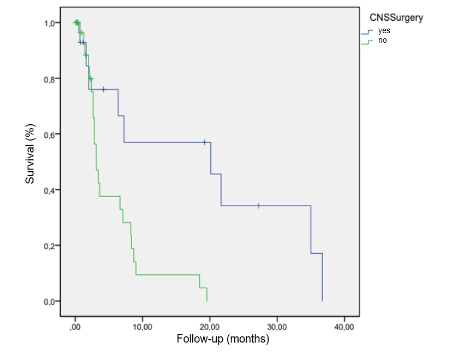 Figure 1. Overall survival according to CNS surgery.