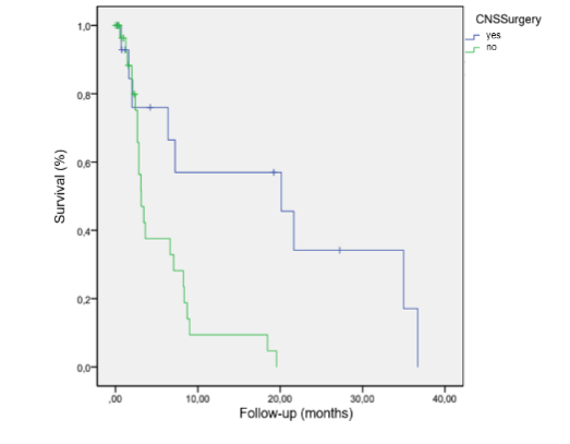 Figure 1. Overall survival according to CNS surgery.
