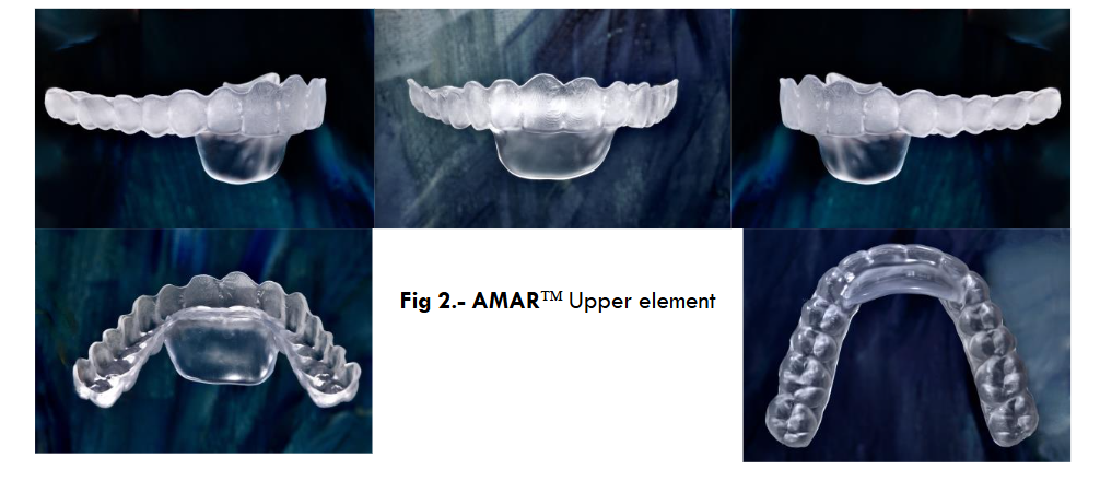 Fig. 2.- AMAR Upper element.