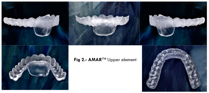 Fig 2.- AMAR Upper element