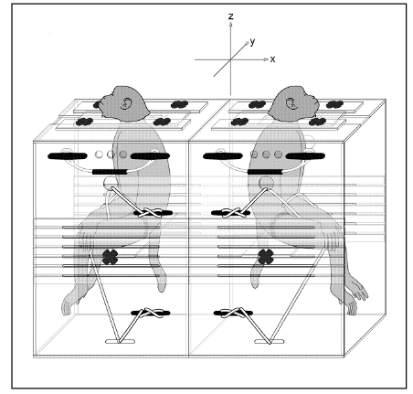 Figure 1. Schematic representation of NHP’s image in two Plexiglas® boxes. One immobilized animal in each box. Animals were oriented back-to-back with respect to each other. The radiation beams were directed perpendicularly to the table and, thus penetrated the animals from side to side.