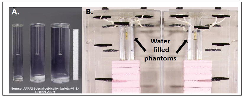 Figure 2. Dose rate measurement using phantoms. (A) Cylindrical Plexiglas® phantoms of three different representative diameters (6.9, 10.0, and 12.5 cm) filled with water; the sleeves are for inserting polystyrene vials with alanine pellets into the cores of the phantoms. (B) Two Phantoms of identical diameters irradiated in the restraint boxes in the positions of the torsos of animals to be irradiated.
