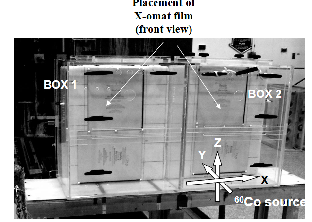 Figure 4. Setup for measurements of the uniformity of the radiation field. Test of the field uniformity in the YZ plane (see Figure 1 for coordinate designation). Tests of the field uniformity in the other planes are not shown here.