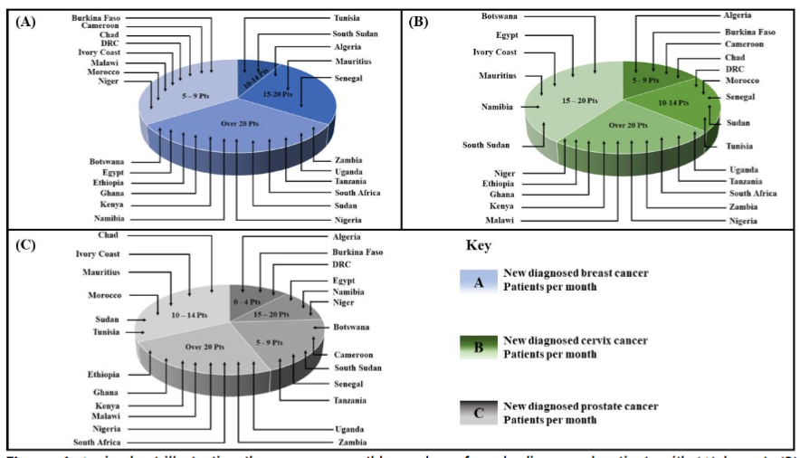 Figure 4: A pie-chart illustrating the average monthly number of newly diagnosed patients with (A) breast, (B) cervical and (C) prostate cancer requiring radiation therapy, according to data derived from the participating countries.