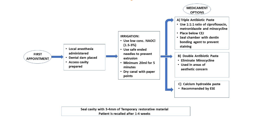 Table 1: A brief outline of the first appointment for a regenerative endodontic procedure. The primary goal here is elimination of infection.