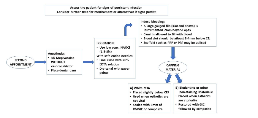 Table 2: The second appointment will start with an evaluation of possible signs of infection. A third appointment may be required if further time for the medicament is needed. If signs of infection are absent, the protocol is followed as mentioned above.