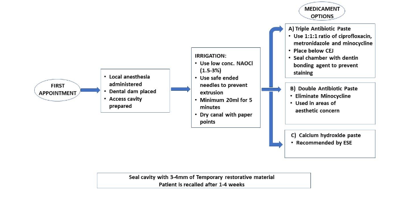 Table 1: a brief outline of the first appointment for a regenerative endodontic procedure. The primary goal here is elimination of infection.