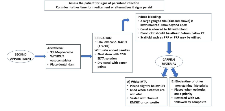 Table 2: The second appointment will start with an evaluation of possible signs of infection.