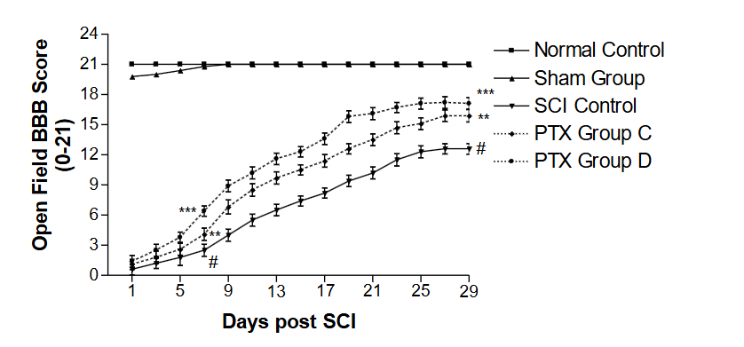 Figure 2: Effect of PTX on gait performance tunnel (GPT) behavioral motor performance activities (BBB Score) of hind limbs of rats subjected to spinal cord injury (SCI). The graph illustrates the comparative functional recovery from spinal cord injury (SCI) over 29 days. Animals were treated with the drugs daily after SCI for 3 weeks. PTX Group C is (10 mg/kg with no enforced walk), and PTX Group D is (10 mg/kg with a daily enforced walk). The groups are effective in the order Group D > Group C.