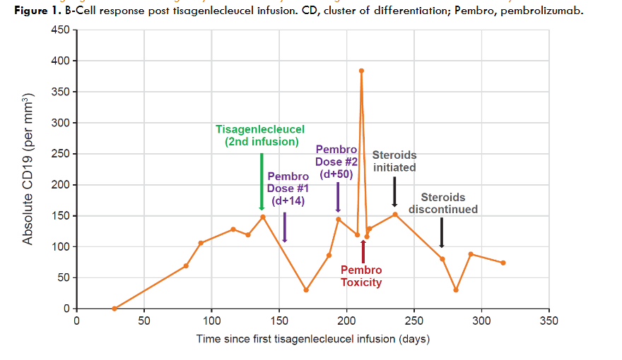 Figure 1. B-Cell response post tisagenlecleucel infusion. CD, cluster of differentiation; Pembro, pembrolizumab.