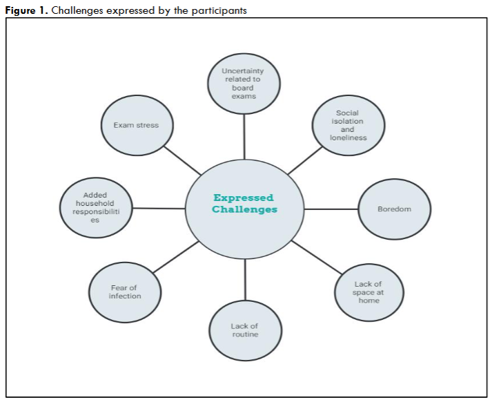 Figure 1. Challenges expressed by the participants