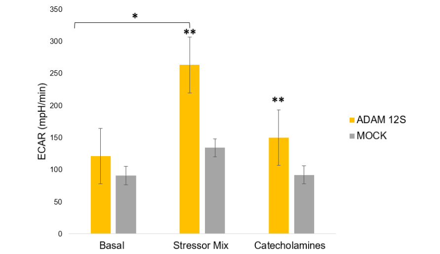 Figure 2. Metabolic Output of Human Primary Preadipocytes.
