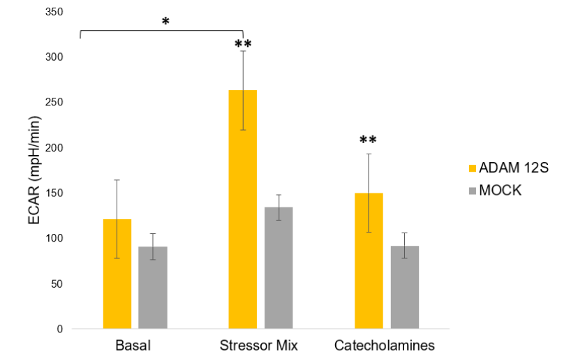 Figure 2. Metabolic Output of Human Primary Preadipocytes.