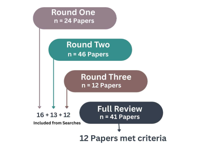 Figure 2: Scoping Review Schematic