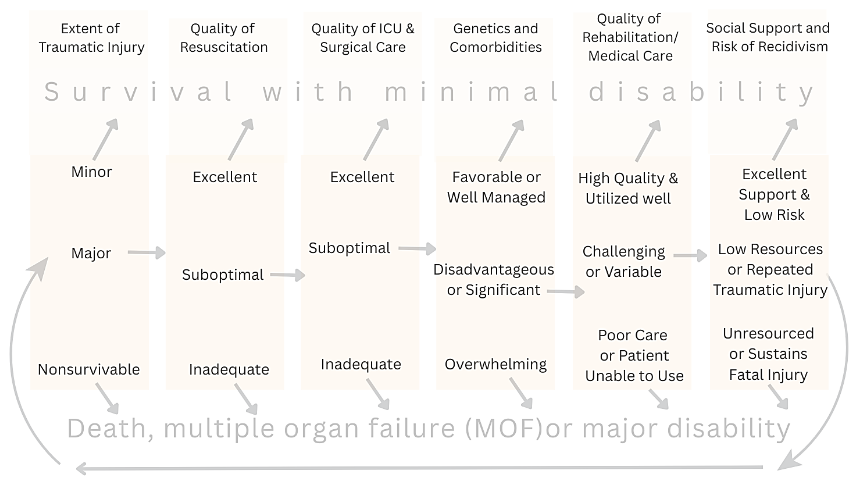 Figure 1: Factors Contributing to Extent of Trauma Injury