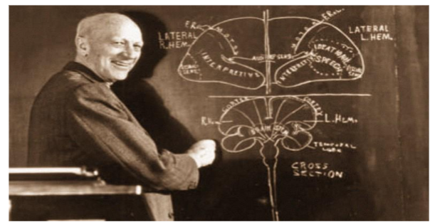 Figure 13. Wilder Penfield (1891–1976), pioneering neurosurgeon and founder of the Montreal Procedure, whose cortical mapping studies revealed that electrical stimulation could not evoke thought, reason, or will, shaping modern debates on the neural basis of consciousness.