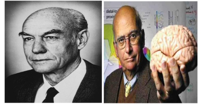 Figure 14. Nobel laureate Roger W. Sperry, whose split-brain research revolutionized modern neuroscience and Michael S. Gazzaniga, pioneering architect father of cognitive neuroscience and leading investigator of split-brain cognition.