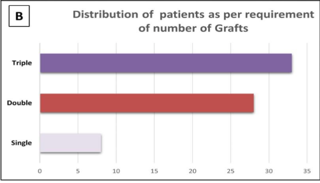 Figure 2B: Number of patients as per the number of grafts received during the coronary artery bypass grafting.