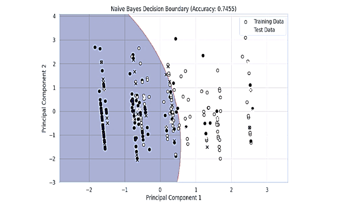 Figure 4: Naïve Bayes Decision Boundaries