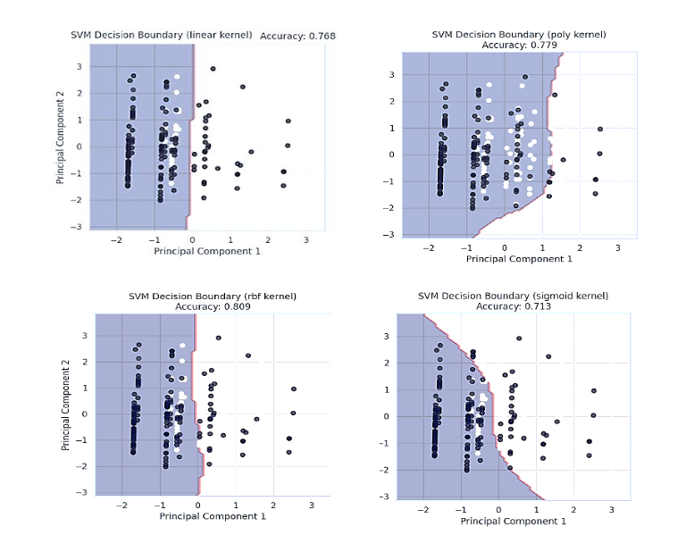 Figure 5: Support Vector Machine Boundaries