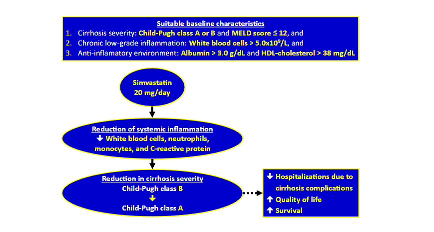 Figure 1: The lessons learned on the treatment of decompensated cirrhosis with simvastatin.