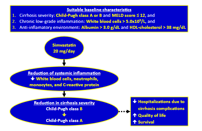 Figure 1: The lessons learned on the treatment of decompensated cirrhosis with simvastatin.