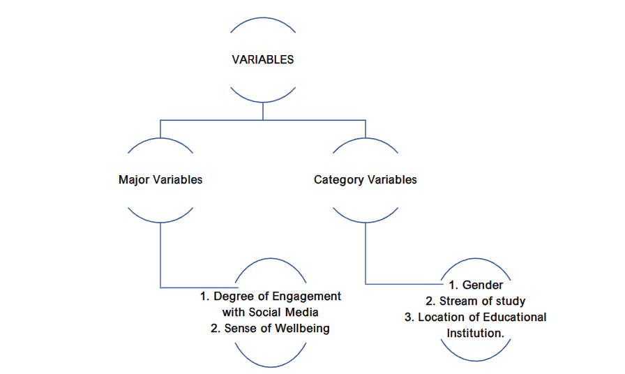 Figure 1: Variables of the study