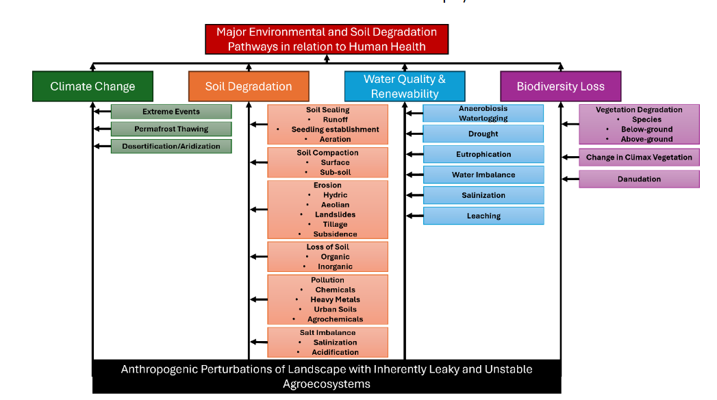 Figure 1. Anthropogenic pathways of soil environmental degradation in relation to ill effects on human health and wellbeing.