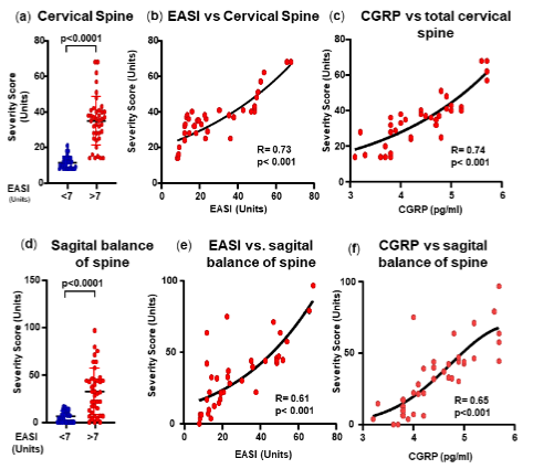 Figure 2. Cervical spine and sagittal balance of the spine.