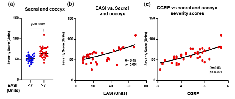 Figure 4. Coccyx and sacral spine.