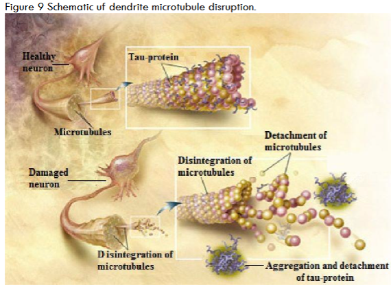 Figure 10. 3-D imaging of the schematic in Fig.10.