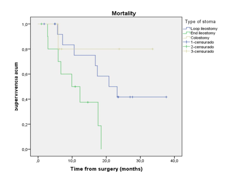 Figure 3. Kaplan-Meier curves of overall survival after at cytoreductive surgery and hyperthermic intraperitoneal chemotherapy for appendiceal and colorectal neoplasms based on loop ileostomy, end ileostomy, or colostomy creation