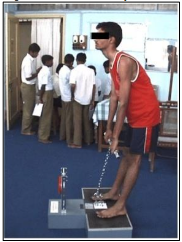 Figure no. 6: Back Dynamometry