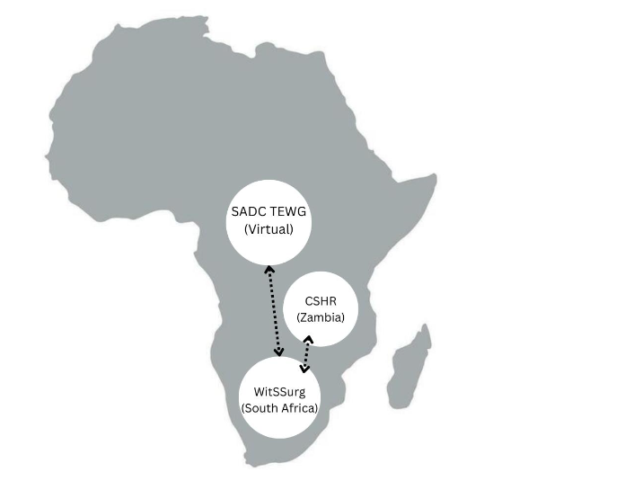 Figure 1 SADC TEWG, WitSSurg, and CSHR Relationships