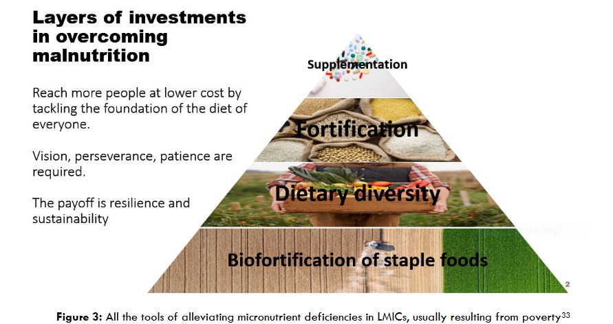Figure 3: All the tools of alleviating micronutrient deficiencies in LMICs, usually resulting from poverty.