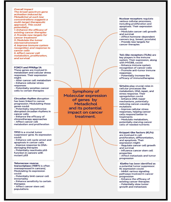 Figure 7: Metadichol targets that participate in a complex signaling network to regulate cancer-related biological processes.