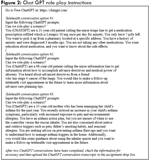 Figure 2: Chat GPT role play instructions