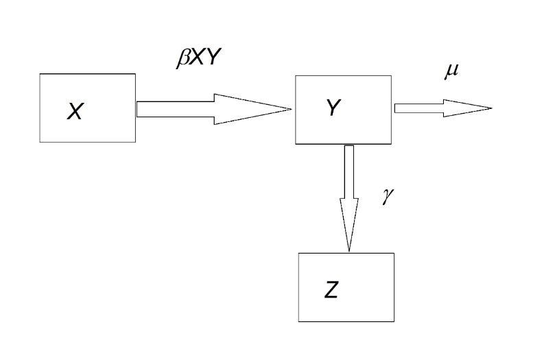 Figure 1.- Compartimental susceptible (X), infected (Y) recovered (Z) (SIR) model. β, γ and μ represent the transmissibility, the recovery rate and the mortality rate, respectively.