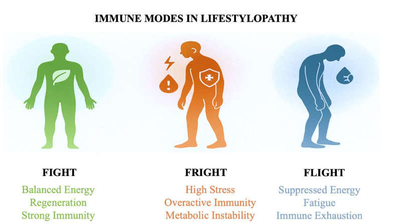 Figure 2: Lifestylopathy's Thermodynamic Modes: A Spectrum of Energetic Coherence and Disorganization
