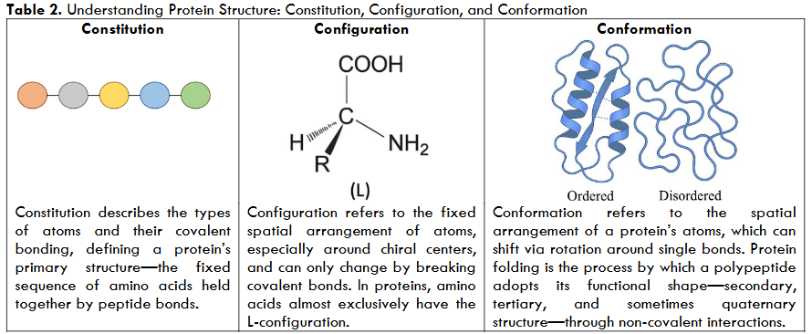 Understanding Protein Structure: Constitution, Configuration, and Conformation