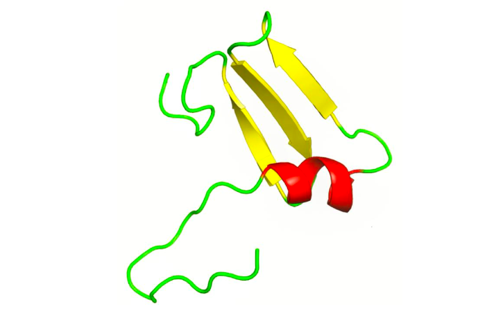 Intrinsic Disorder in Viral Proteins: The Case of Sesbania Mosaic Virus VPg