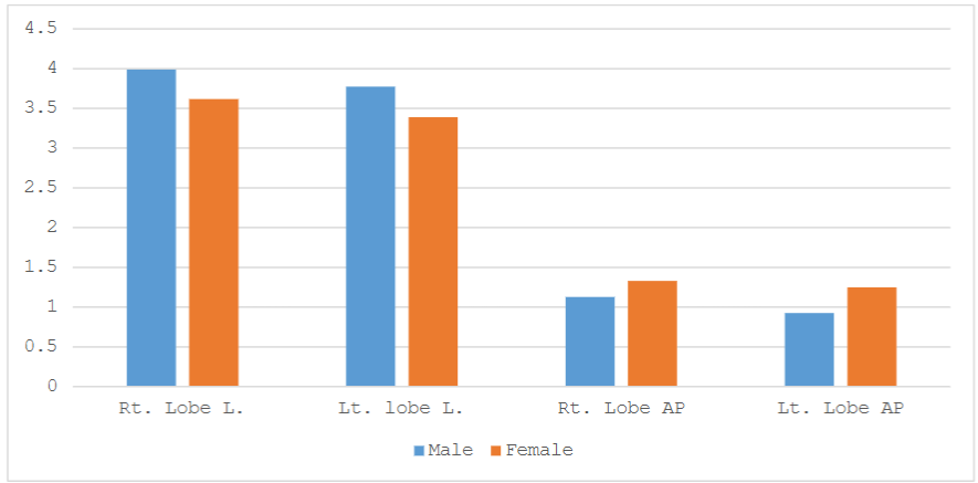 Figure 1. A Comparison between the Participants’ Gender Regarding the Thyroid Length and Anteroposterior (AP) Diameter for Both Lobes.